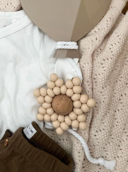 Dekorativna zvezdica - Star