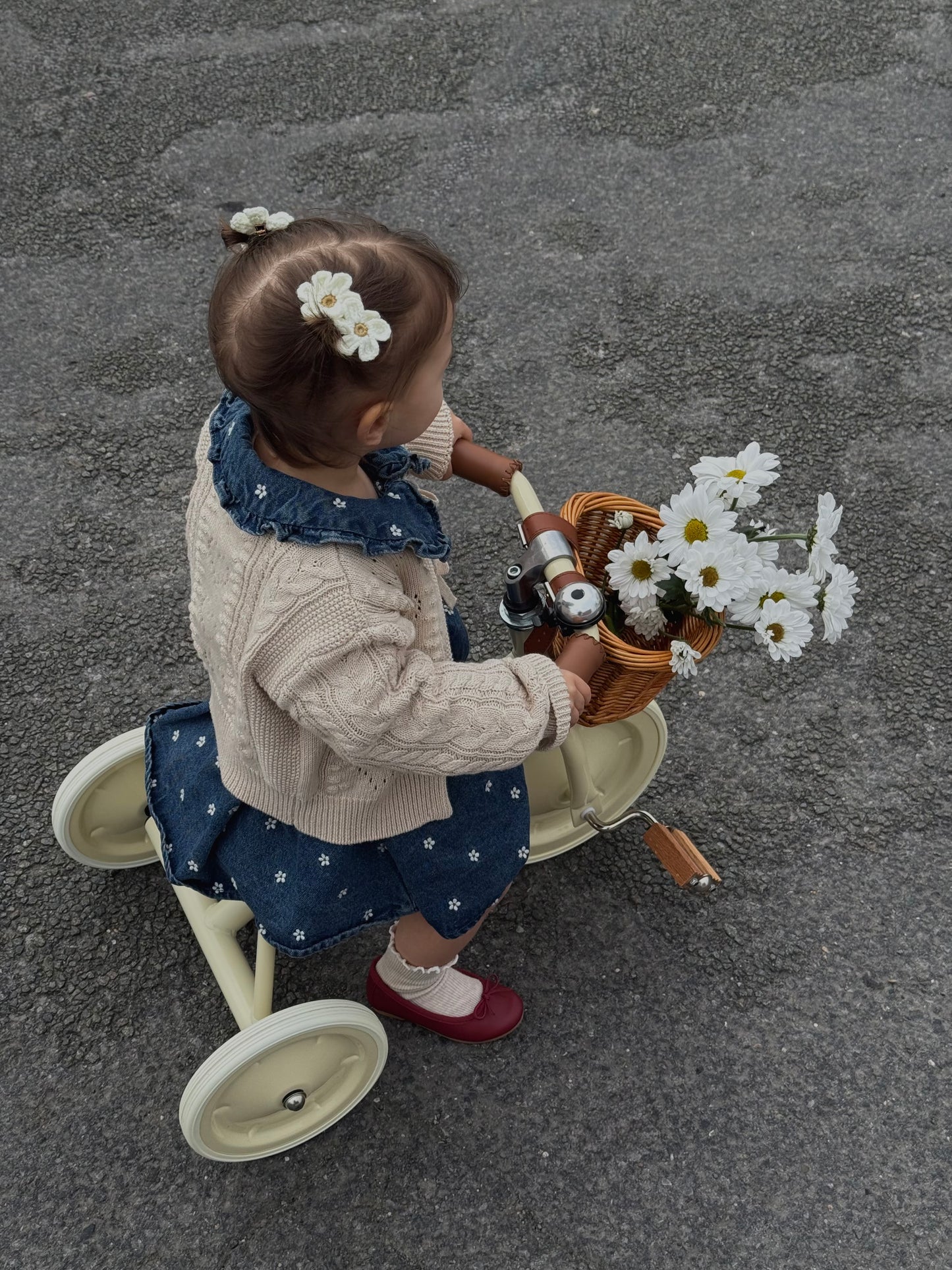 Špangica - Daisy/Crochet